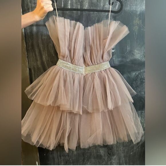 Mable Tulle Mini NWT Size XS Elegant Mauve Tulle Dress with Gold Belt - Picture 3 of 4